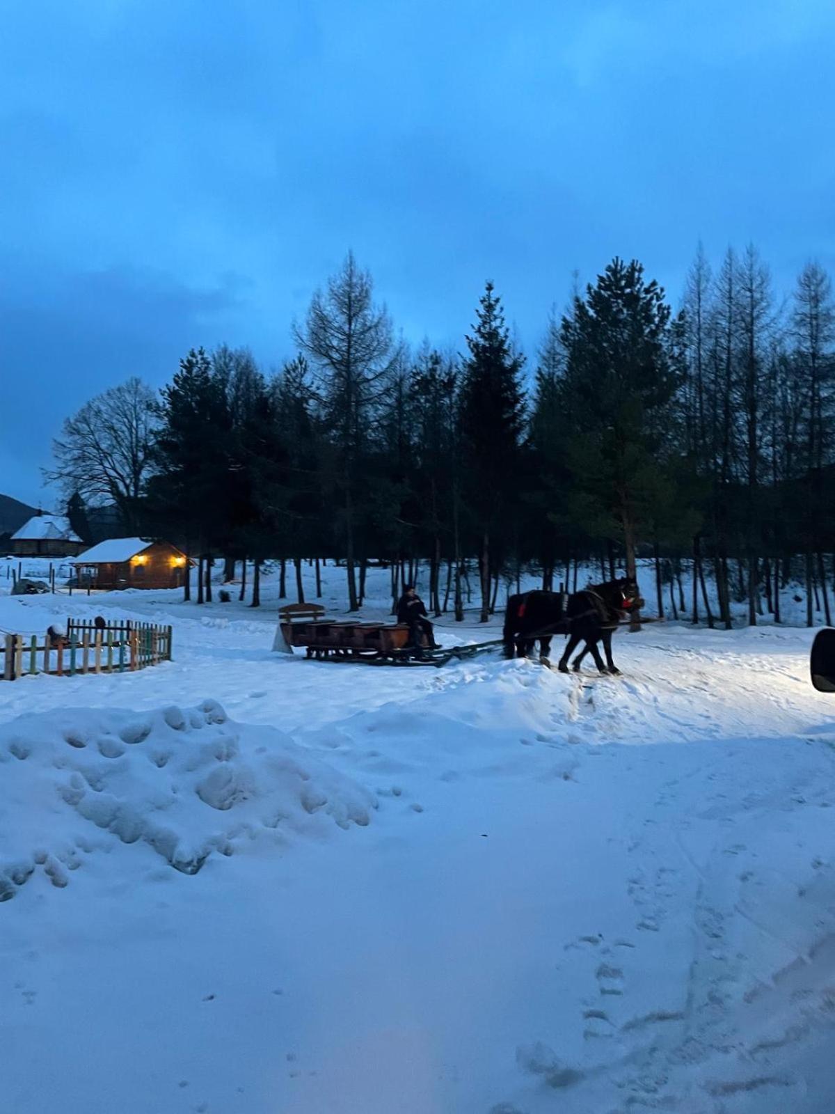 Hotel Latarnia Wagabundy Bieszczady Wola Michowa Esterno foto