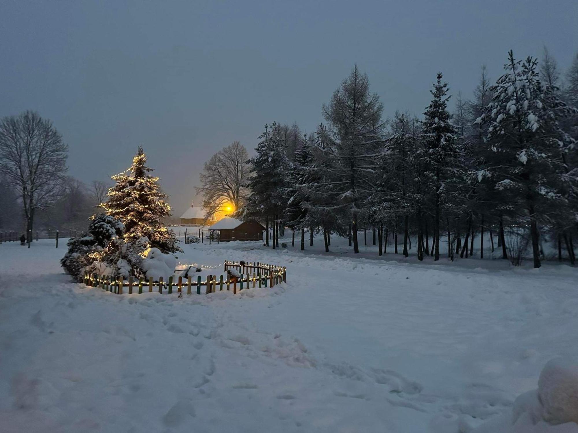 Hotel Latarnia Wagabundy Bieszczady Wola Michowa Esterno foto