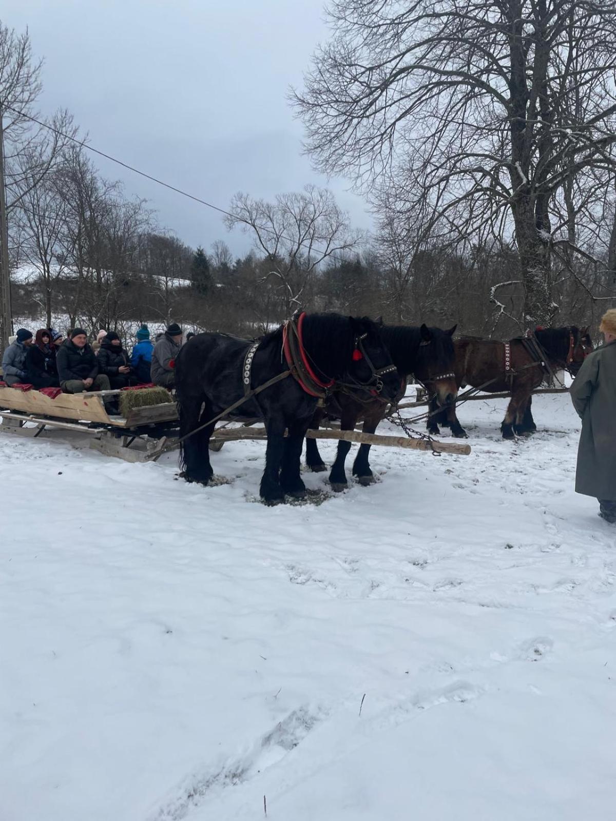 Hotel Latarnia Wagabundy Bieszczady Wola Michowa Esterno foto