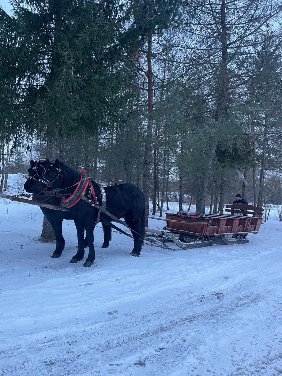 Hotel Latarnia Wagabundy Bieszczady Wola Michowa Esterno foto