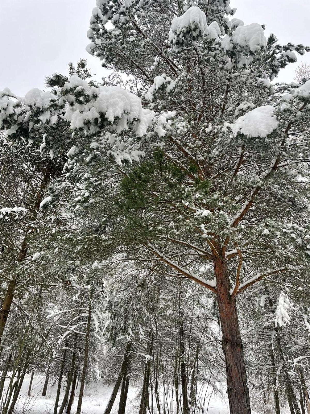 Hotel Latarnia Wagabundy Bieszczady Wola Michowa Esterno foto