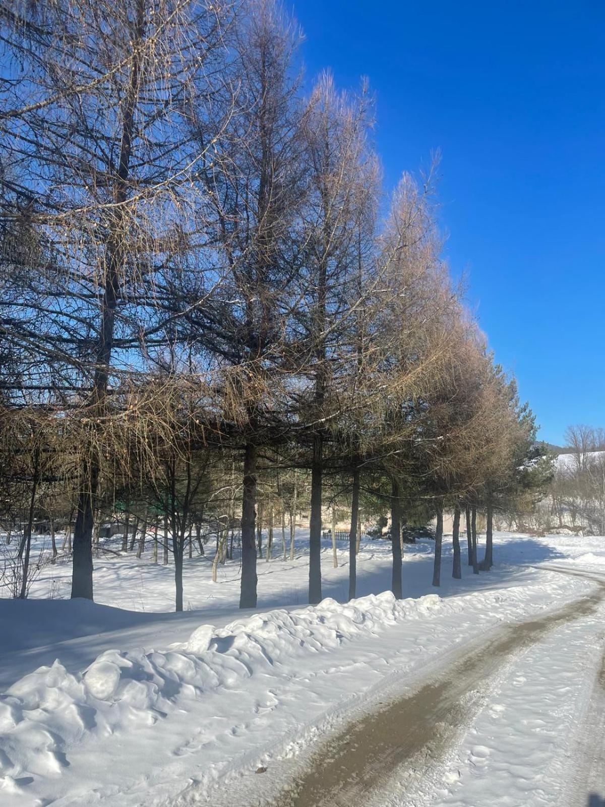 Hotel Latarnia Wagabundy Bieszczady Wola Michowa Esterno foto