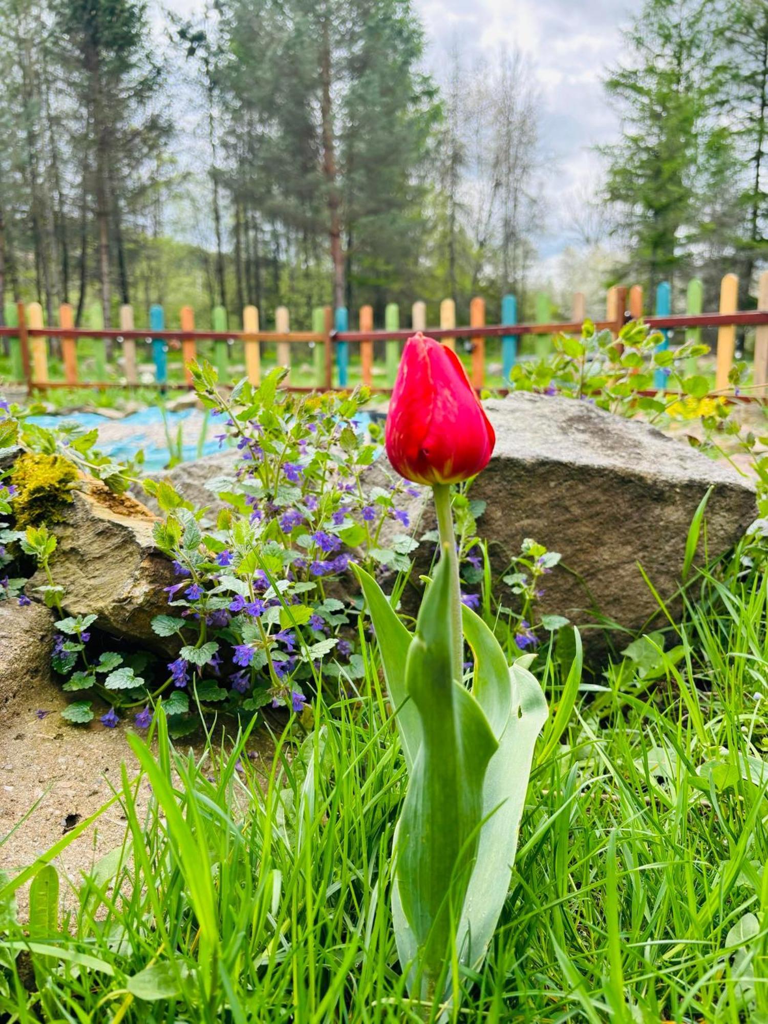 Hotel Latarnia Wagabundy Bieszczady Wola Michowa Esterno foto