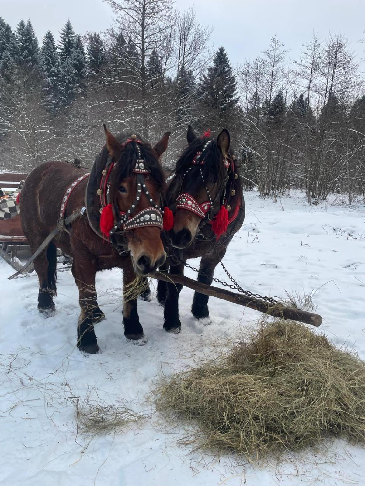 Hotel Latarnia Wagabundy Bieszczady Wola Michowa Esterno foto