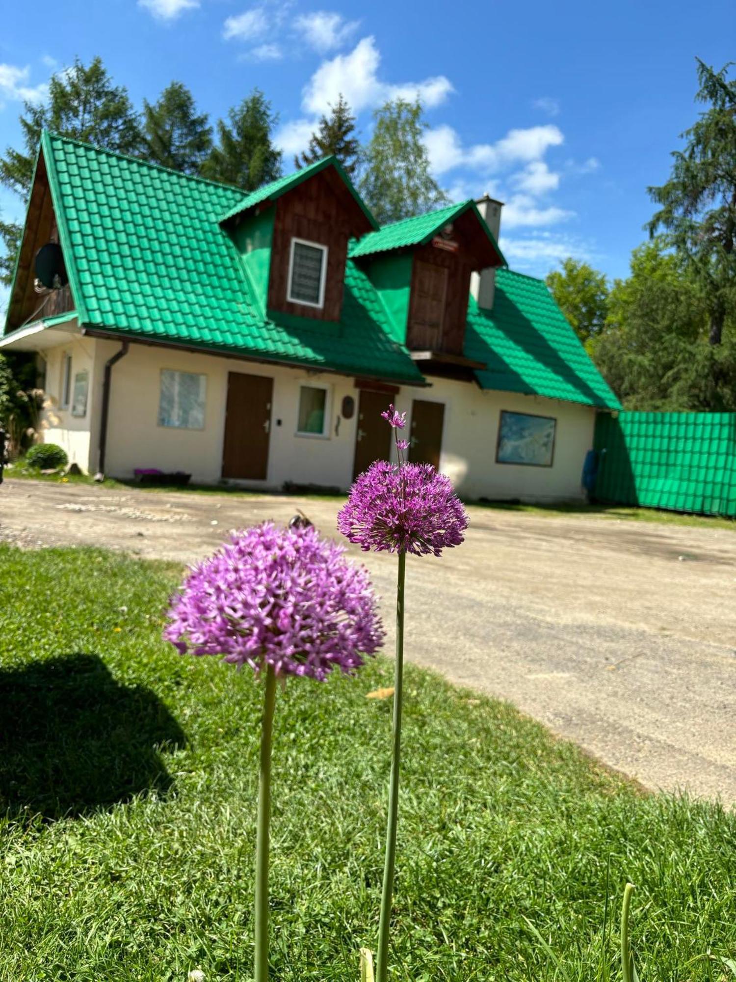 Hotel Latarnia Wagabundy Bieszczady Wola Michowa Esterno foto