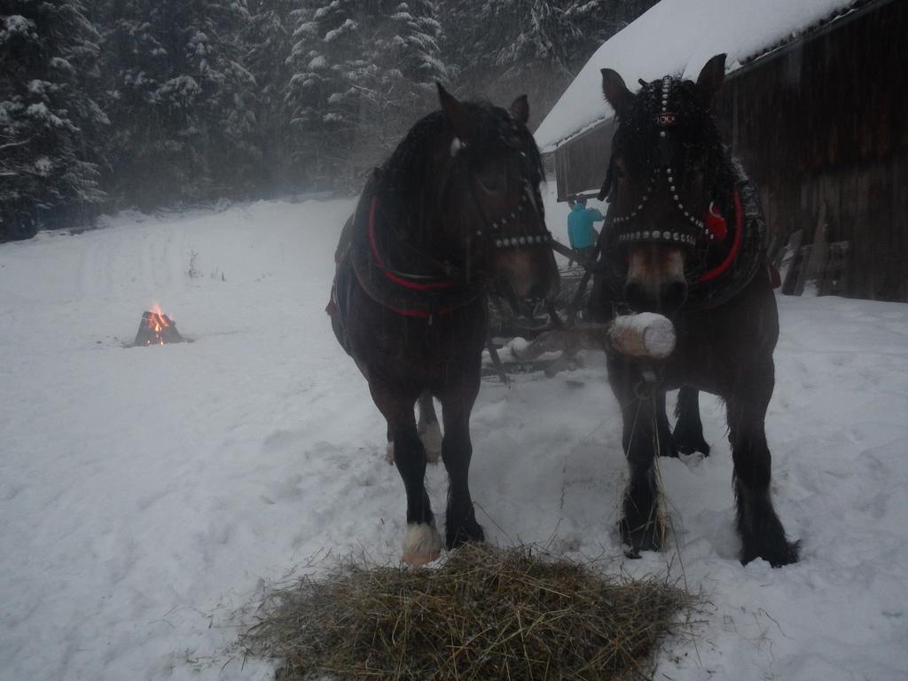 Hotel Latarnia Wagabundy Bieszczady Wola Michowa Esterno foto