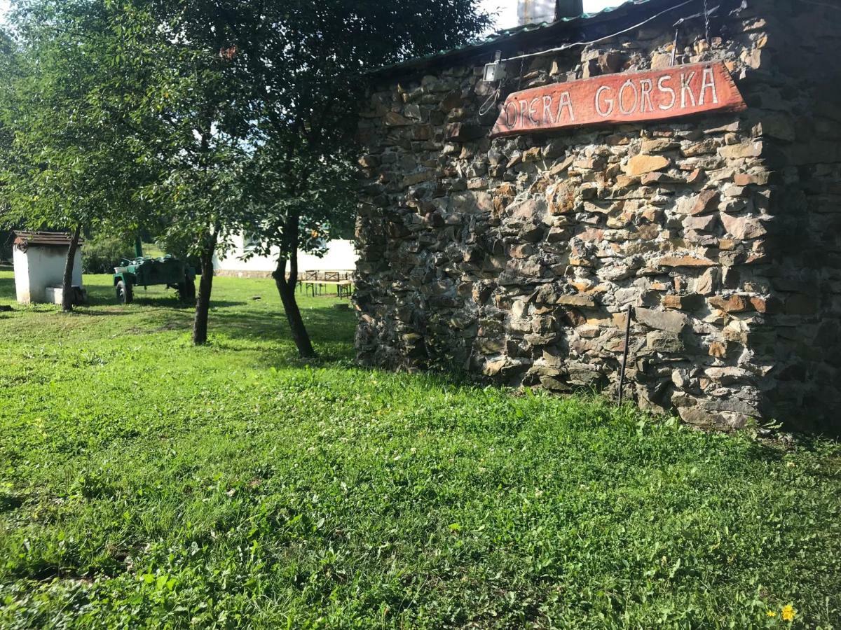 Hotel Latarnia Wagabundy Bieszczady Wola Michowa Esterno foto